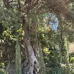Location- Panoramic With Montecarlo Views And Pool Vila *