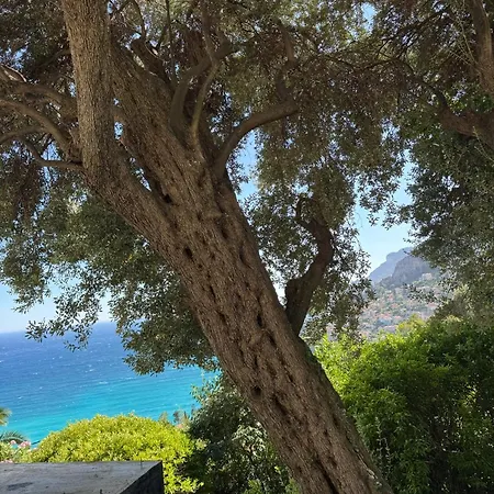 Location- Panoramic With Montecarlo Views And Pool